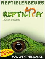 agenda van Reptilica beurzen